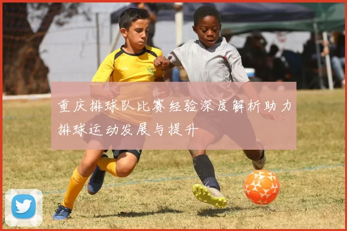 重庆排球队比赛经验深度解析助力排球运动发展与提升